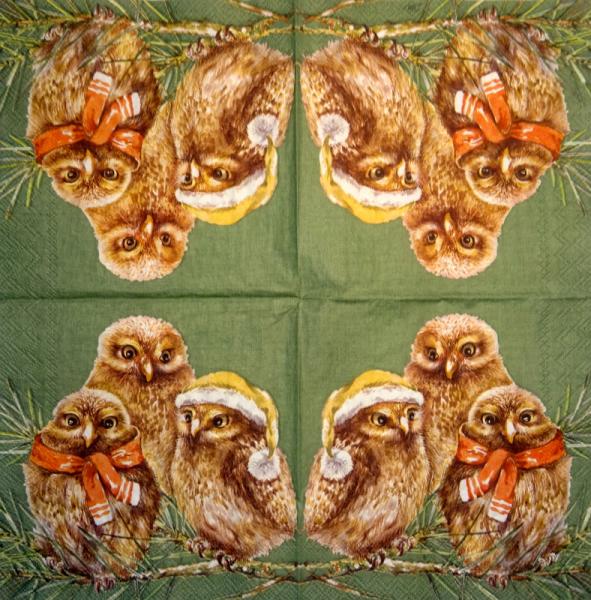 116 Owls - ply - Kalamazoo - CS - 24x24cm